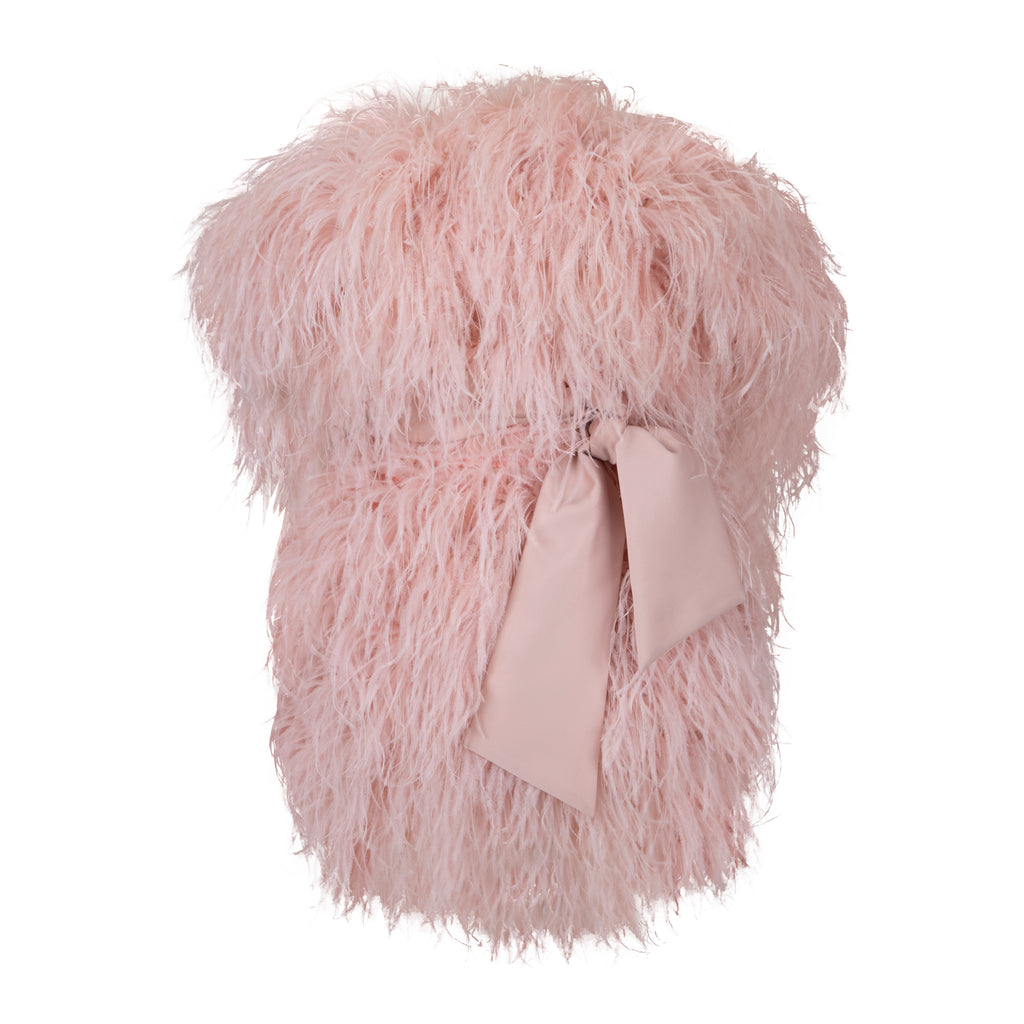 Feathered Whisper Dress