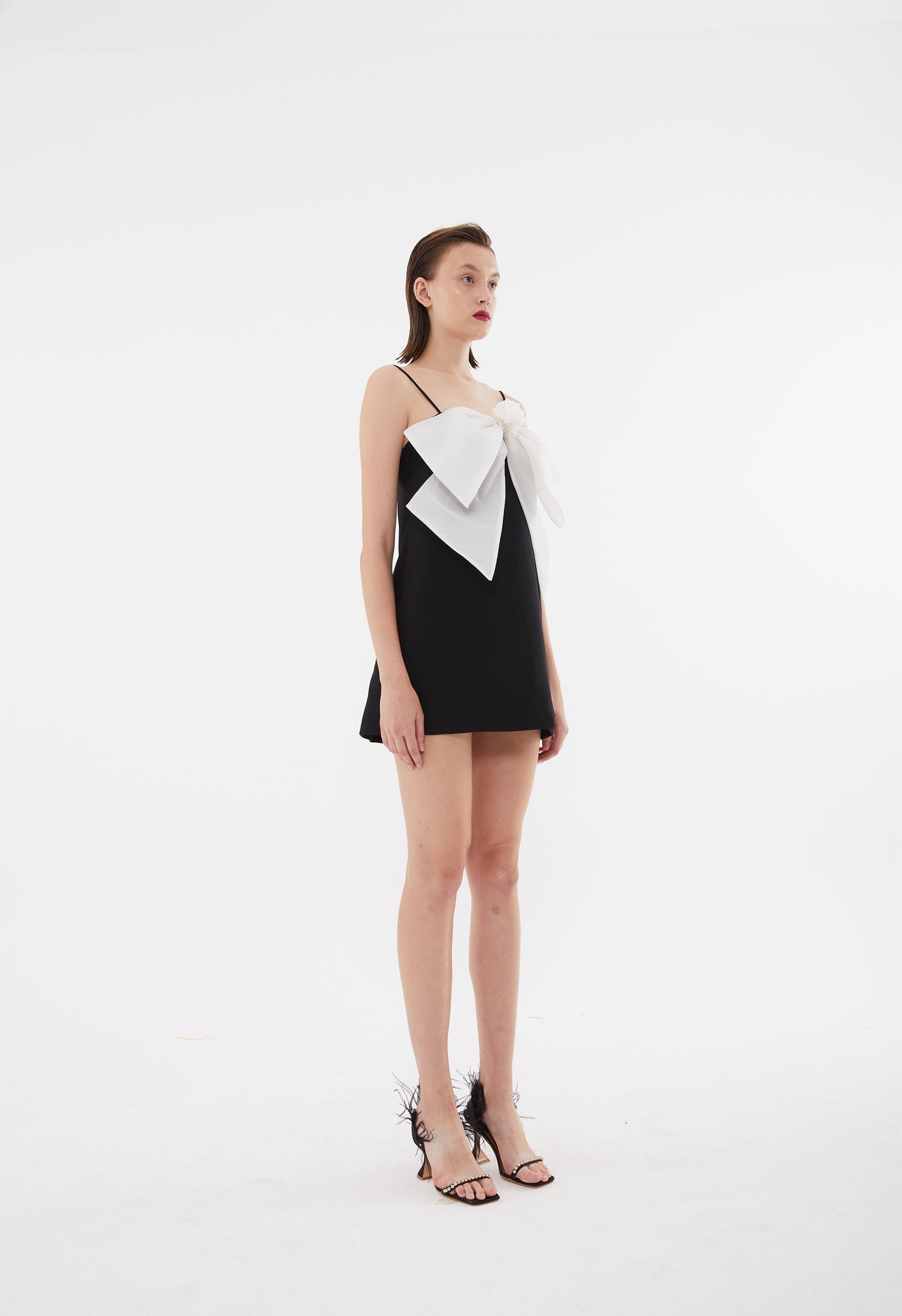 BOWIE MINI DRESS - BLACK AND WHITE